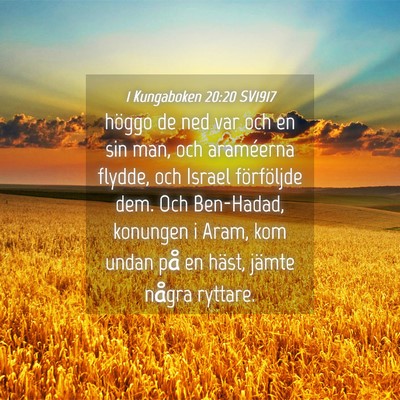 Picture 04 - 1 Kungaboken 20:20 SV1917 - höggo de ned var och en sin man, och araméerna - Bible Verse Picture