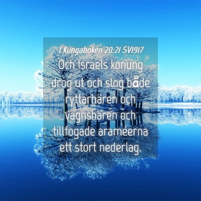 Picture 04 - 1 Kungaboken 20:21 SV1917 - Och Israels konung drog ut och slog både - Bible Verse Picture