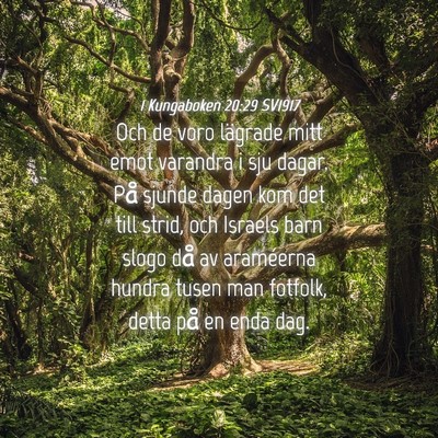 Picture 04 - 1 Kungaboken 20:29 SV1917 - Och de voro lägrade mitt emot varandra i sju - Bible Verse Picture
