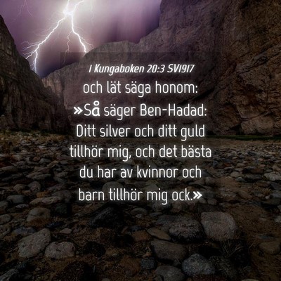 Picture 04 - 1 Kungaboken 20:3 SV1917 - och lät säga honom: »Så säger Ben-Hadad: - Bible Verse Picture