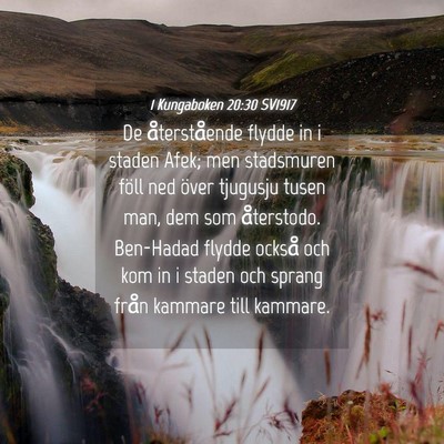 Picture 04 - 1 Kungaboken 20:30 SV1917 - De återstående flydde in i staden Afek; men - Bible Verse Picture
