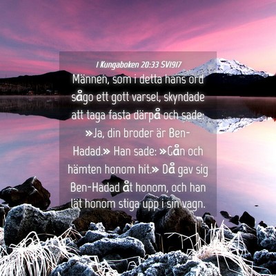 Picture 04 - 1 Kungaboken 20:33 SV1917 - Männen, som i detta hans ord sågo ett gott - Bible Verse Picture