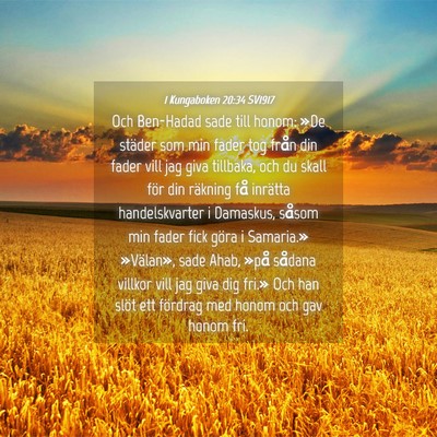 Picture 04 - 1 Kungaboken 20:34 SV1917 - Och Ben-Hadad sade till honom: »De städer som - Bible Verse Picture