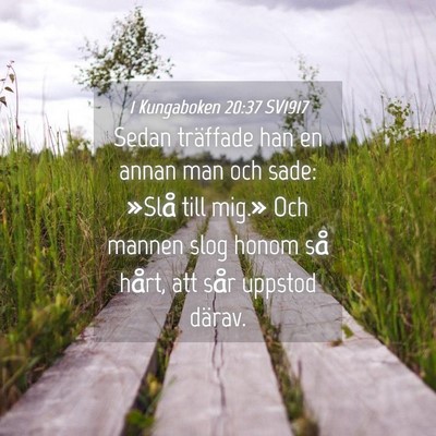 Picture 04 - 1 Kungaboken 20:37 SV1917 - Sedan träffade han en annan man och sade: »Slå - Bible Verse Picture