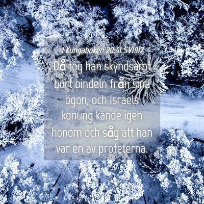 Picture 04 - 1 Kungaboken 20:41 SV1917 - Då tog han skyndsamt bort bindeln från sina - Bible Verse Picture
