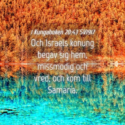Picture 04 - 1 Kungaboken 20:43 SV1917 - Och Israels konung begav sig hem, missmodig och - Bible Verse Picture