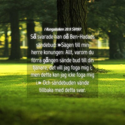 Picture 04 - 1 Kungaboken 20:9 SV1917 - Så svarade han då Ben-Hadads sändebud: - Bible Verse Picture