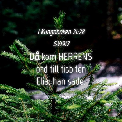 Picture 04 - 1 Kungaboken 21:28 SV1917 - Då kom HERRENS ord till tisbiten Elia; han - Bible Verse Picture