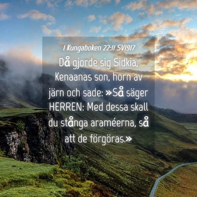 Picture 04 - 1 Kungaboken 22:11 SV1917 - Då gjorde sig Sidkia, Kenaanas son, horn av - Bible Verse Picture