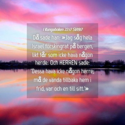 Picture 04 - 1 Kungaboken 22:17 SV1917 - Då sade han: »Jag såg hela Israel förskingrat - Bible Verse Picture