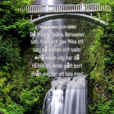 Picture 04 - 1 Kungaboken 22:24 SV1917 - Då trädde Sidkia, Kenaanas son, fram och gav - Bible Verse Picture