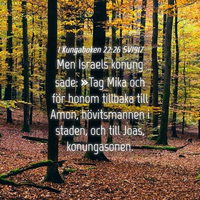 Picture 04 - 1 Kungaboken 22:26 SV1917 - Men Israels konung sade: »Tag Mika och för - Bible Verse Picture