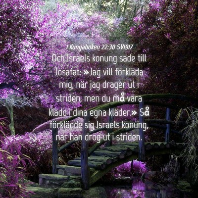 Picture 04 - 1 Kungaboken 22:30 SV1917 - Och Israels konung sade till Josafat: »Jag vill - Bible Verse Picture