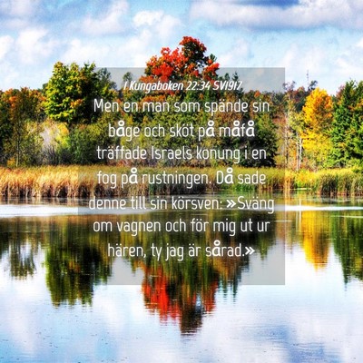 Picture 04 - 1 Kungaboken 22:34 SV1917 - Men en man som spände sin båge och sköt på - Bible Verse Picture