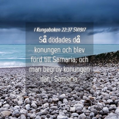 Picture 04 - 1 Kungaboken 22:37 SV1917 - Så dödades då konungen och blev förd till - Bible Verse Picture