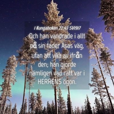Picture 04 - 1 Kungaboken 22:43 SV1917 - Och han vandrade i allt på sin fader Asas väg, - Bible Verse Picture