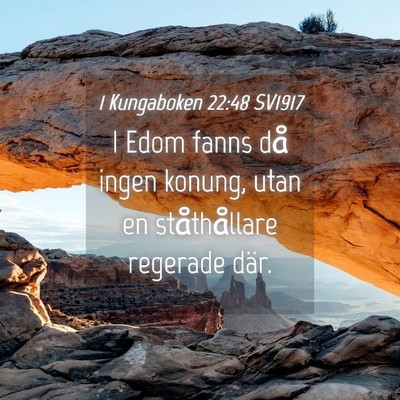 Picture 04 - 1 Kungaboken 22:48 SV1917 - I Edom fanns då ingen konung, utan en - Bible Verse Picture