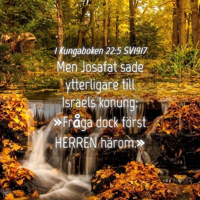 Picture 04 - 1 Kungaboken 22:5 SV1917 - Men Josafat sade ytterligare till Israels konung: - Bible Verse Picture