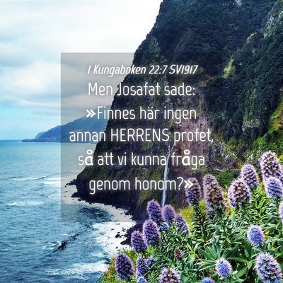 Picture 04 - 1 Kungaboken 22:7 SV1917 - Men Josafat sade: »Finnes här ingen annan - Bible Verse Picture
