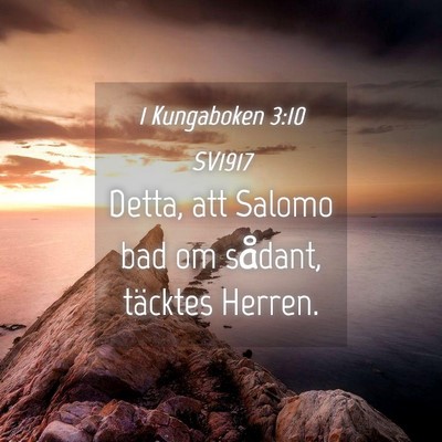 Picture 04 - 1 Kungaboken 3:10 SV1917 - Detta, att Salomo bad om sådant, täcktes - Bible Verse Picture