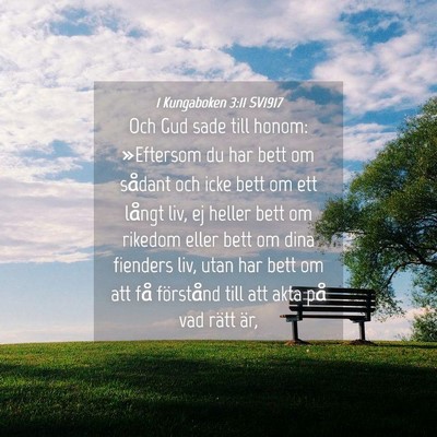 Picture 04 - 1 Kungaboken 3:11 SV1917 - Och Gud sade till honom: »Eftersom du har bett - Bible Verse Picture