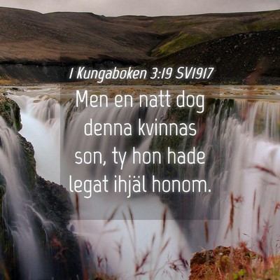Picture 04 - 1 Kungaboken 3:19 SV1917 - Men en natt dog denna kvinnas son, ty hon hade - Bible Verse Picture