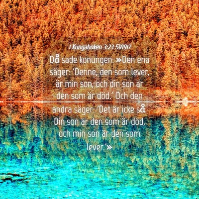 Picture 04 - 1 Kungaboken 3:23 SV1917 - Då sade konungen: »Den ena säger: 'Denne, den - Bible Verse Picture