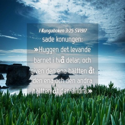 Picture 04 - 1 Kungaboken 3:25 SV1917 - sade konungen: »Huggen det levande barnet i två - Bible Verse Picture