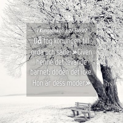 Picture 04 - 1 Kungaboken 3:27 SV1917 - Då tog konungen till orda och sade: »Given - Bible Verse Picture