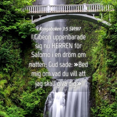 Picture 04 - 1 Kungaboken 3:5 SV1917 - I Gibeon uppenbarade sig nu HERREN för Salomo i - Bible Verse Picture