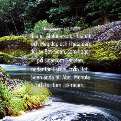 Picture 04 - 1 Kungaboken 4:12 SV1917 - Baana, Ahiluds son, i Taanak och Megiddo och i - Bible Verse Picture