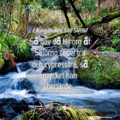Picture 04 - 1 Kungaboken 5:10 SV1917 - Så gav då Hirom åt Salomo cederträ och - Bible Verse Picture