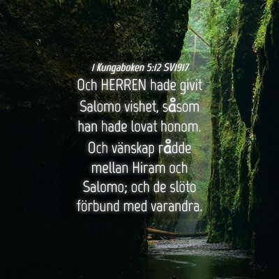 Picture 04 - 1 Kungaboken 5:12 SV1917 - Och HERREN hade givit Salomo vishet, såsom han - Bible Verse Picture