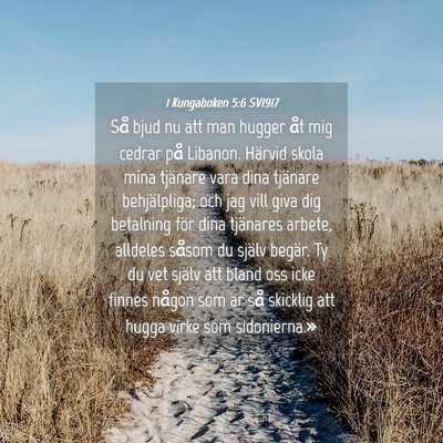 Picture 04 - 1 Kungaboken 5:6 SV1917 - Så bjud nu att man hugger åt mig cedrar på - Bible Verse Picture