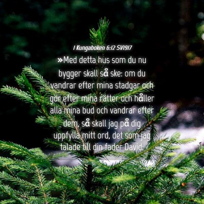 Picture 04 - 1 Kungaboken 6:12 SV1917 - »Med detta hus som du nu bygger skall så ske: - Bible Verse Picture