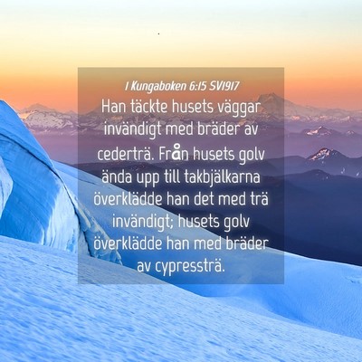Picture 04 - 1 Kungaboken 6:15 SV1917 - Han täckte husets väggar invändigt med bräder - Bible Verse Picture