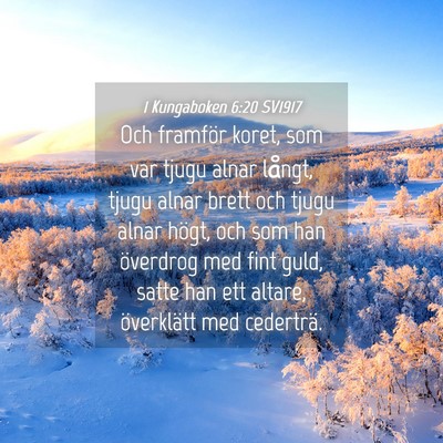Picture 04 - 1 Kungaboken 6:20 SV1917 - Och framför koret, som var tjugu alnar långt, - Bible Verse Picture