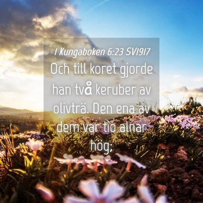 Picture 04 - 1 Kungaboken 6:23 SV1917 - Och till koret gjorde han två keruber av - Bible Verse Picture