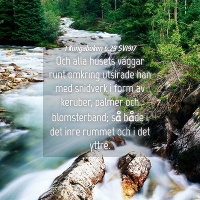Picture 04 - 1 Kungaboken 6:29 SV1917 - Och alla husets väggar runt omkring utsirade han - Bible Verse Picture