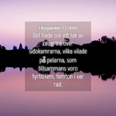 Picture 04 - 1 Kungaboken 7:3 SV1917 - Det hade ock ett tak av cederträ över - Bible Verse Picture