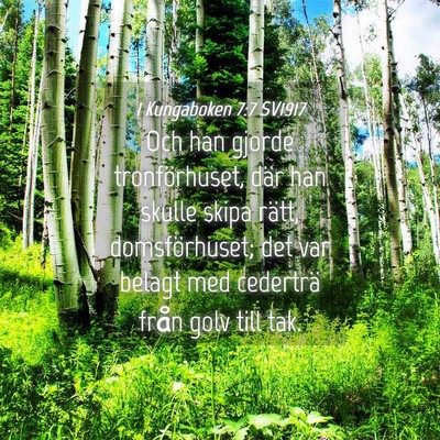 Picture 04 - 1 Kungaboken 7:7 SV1917 - Och han gjorde tronförhuset, där han skulle - Bible Verse Picture
