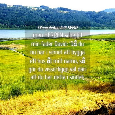 Picture 04 - 1 Kungaboken 8:18 SV1917 - men HERREN sade till min fader David: 'Då du nu - Bible Verse Picture
