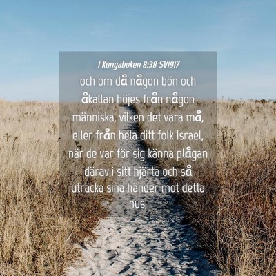 Picture 04 - 1 Kungaboken 8:38 SV1917 - och om då någon bön och åkallan höjes från - Bible Verse Picture