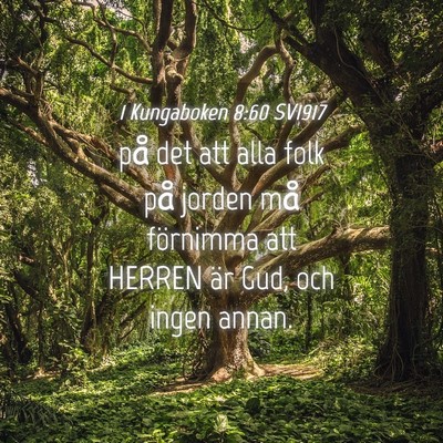 Picture 04 - 1 Kungaboken 8:60 SV1917 - på det att alla folk på jorden må förnimma - Bible Verse Picture