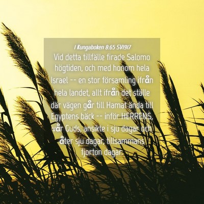 Picture 04 - 1 Kungaboken 8:65 SV1917 - Vid detta tillfälle firade Salomo högtiden, och - Bible Verse Picture