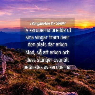 Picture 04 - 1 Kungaboken 8:7 SV1917 - Ty keruberna bredde ut sina vingar fram över den - Bible Verse Picture
