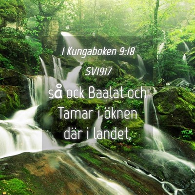 Picture 04 - 1 Kungaboken 9:18 SV1917 - så ock Baalat och Tamar i öknen där i - Bible Verse Picture