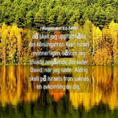 Picture 04 - 1 Kungaboken 9:5 SV1917 - då skall jag upprätthålla din konungatron - Bible Verse Picture
