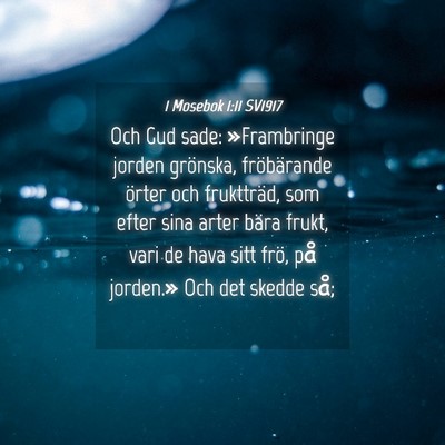 Picture 04 - 1 Mosebok 1:11 SV1917 - Och Gud sade: »Frambringe jorden grönska, - Bible Verse Picture