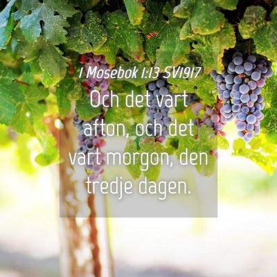 Picture 04 - 1 Mosebok 1:13 SV1917 - Och det vart afton, och det vart morgon, den - Bible Verse Picture
